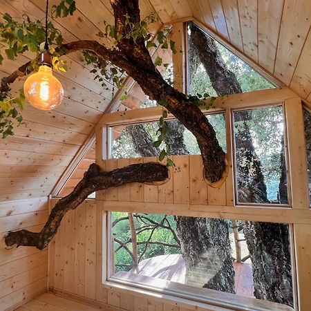 Agriturismo Pereti Roccatederighi Ngoại thất bức ảnh
