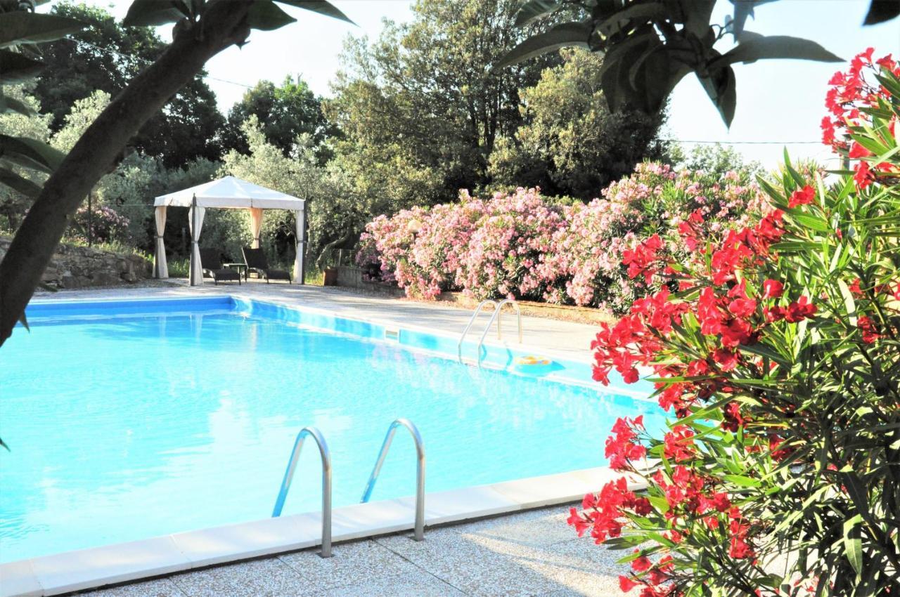 Agriturismo Pereti Roccatederighi Ngoại thất bức ảnh