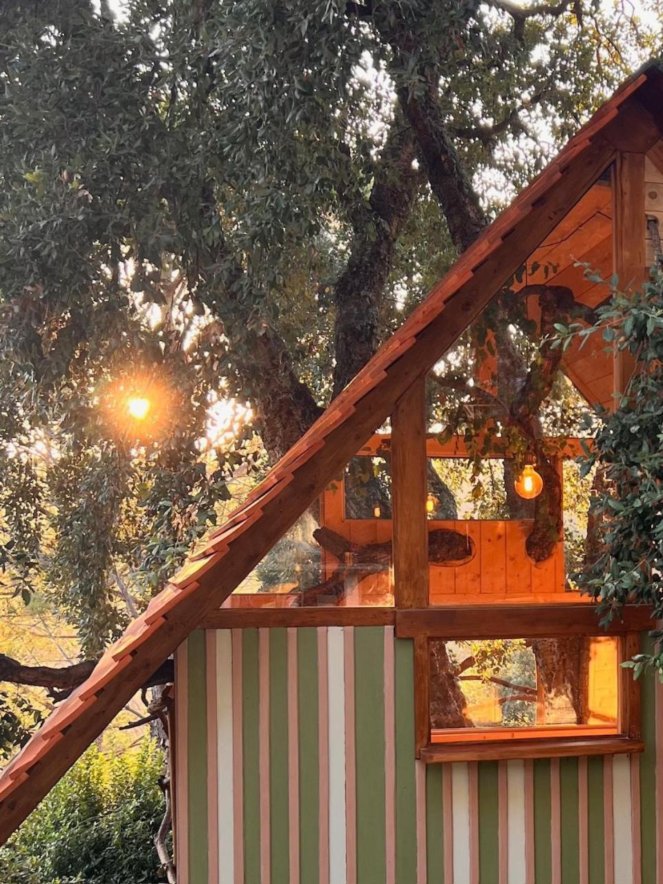 Agriturismo Pereti Roccatederighi Ngoại thất bức ảnh