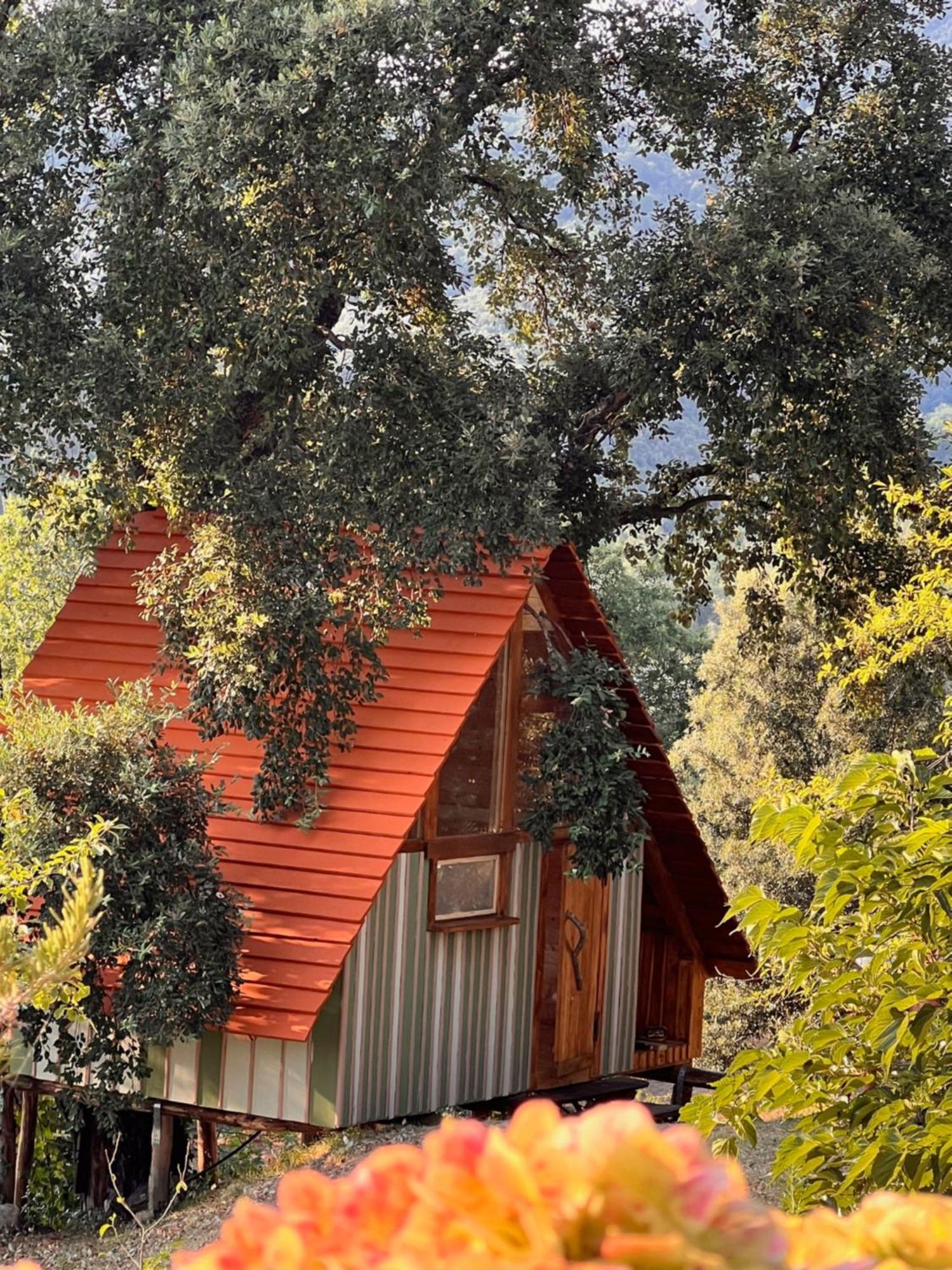 Agriturismo Pereti Roccatederighi Ngoại thất bức ảnh