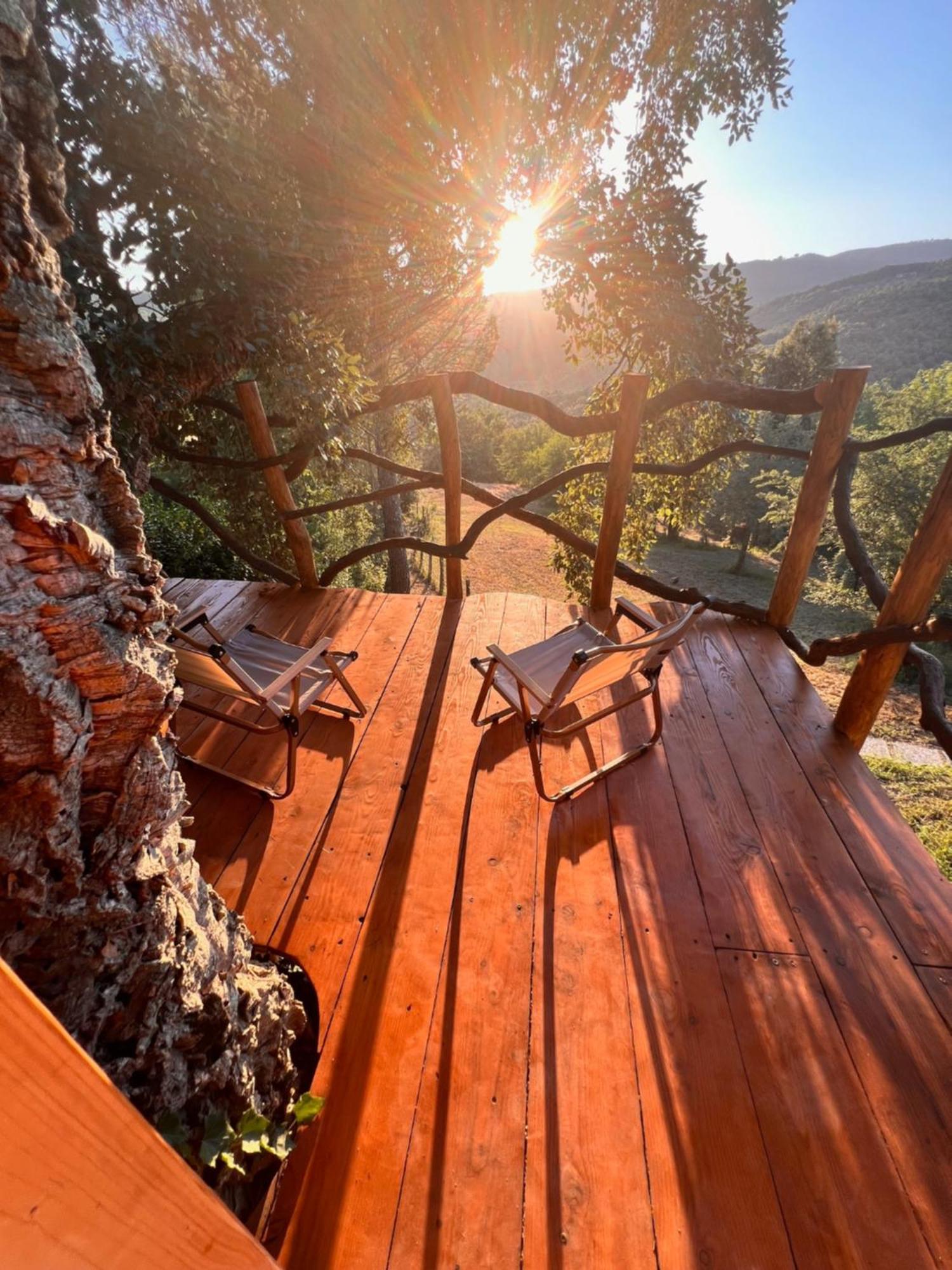 Agriturismo Pereti Roccatederighi Ngoại thất bức ảnh