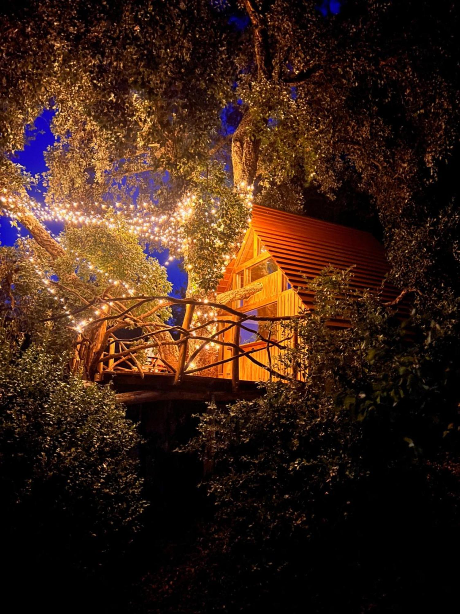Agriturismo Pereti Roccatederighi Ngoại thất bức ảnh