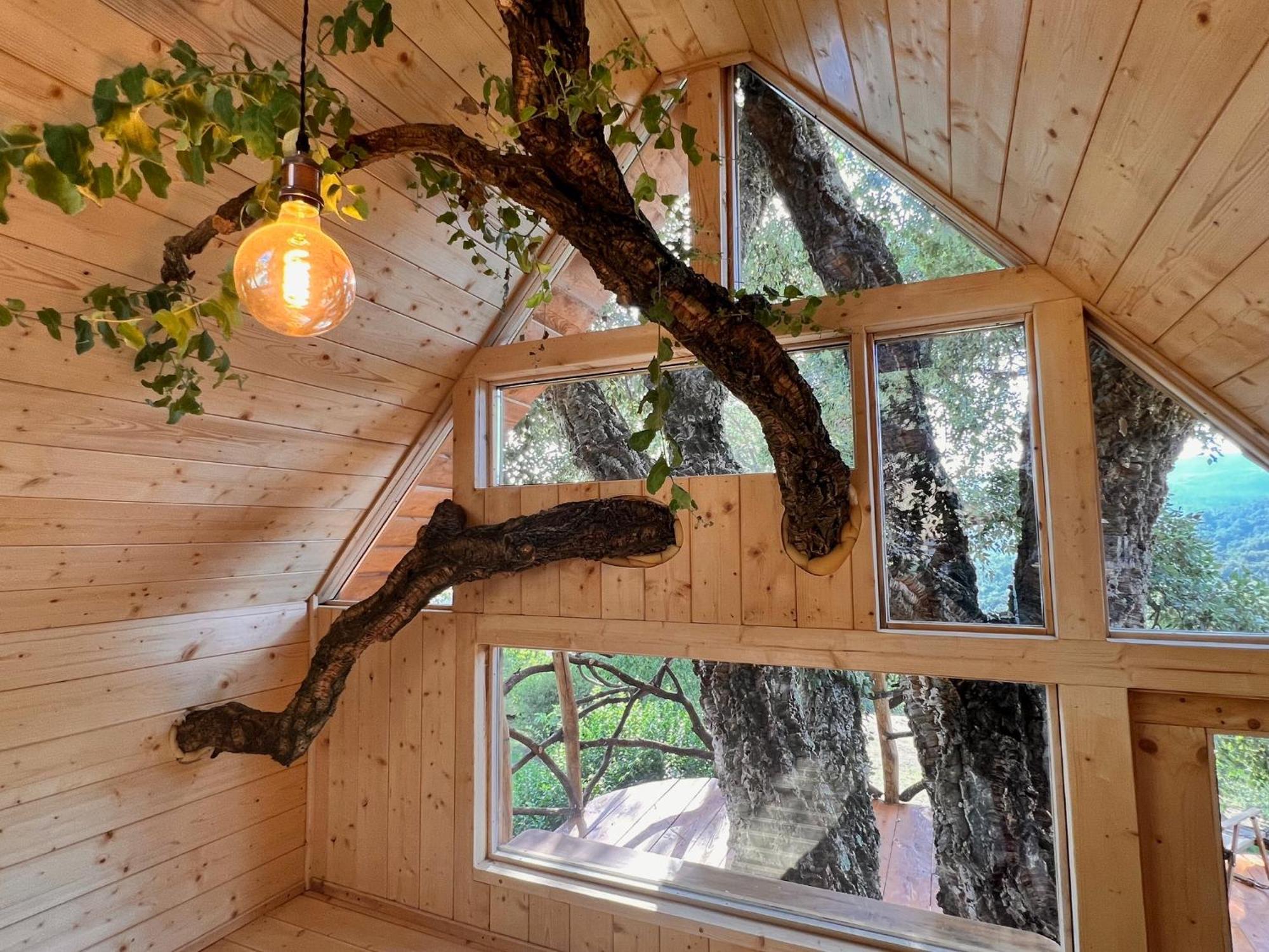 Agriturismo Pereti Roccatederighi Ngoại thất bức ảnh