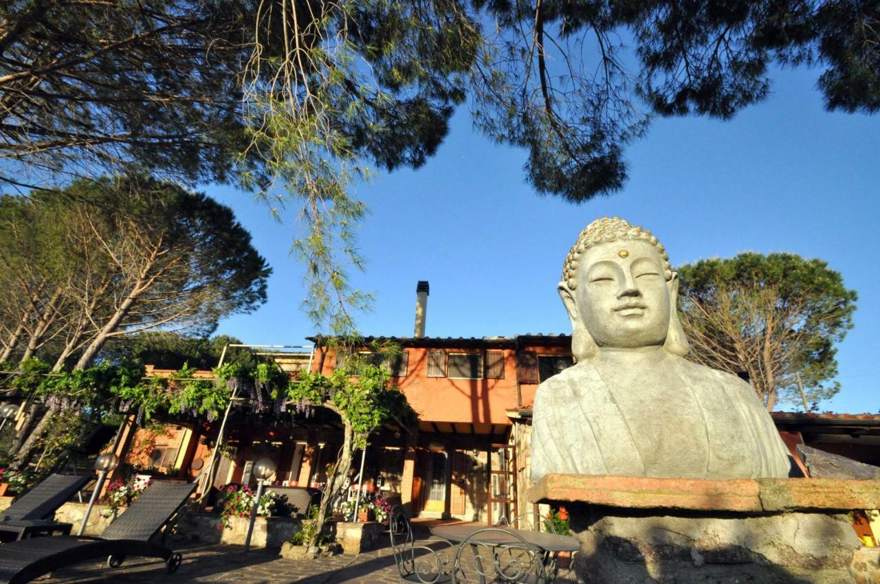 Agriturismo Pereti Roccatederighi Ngoại thất bức ảnh